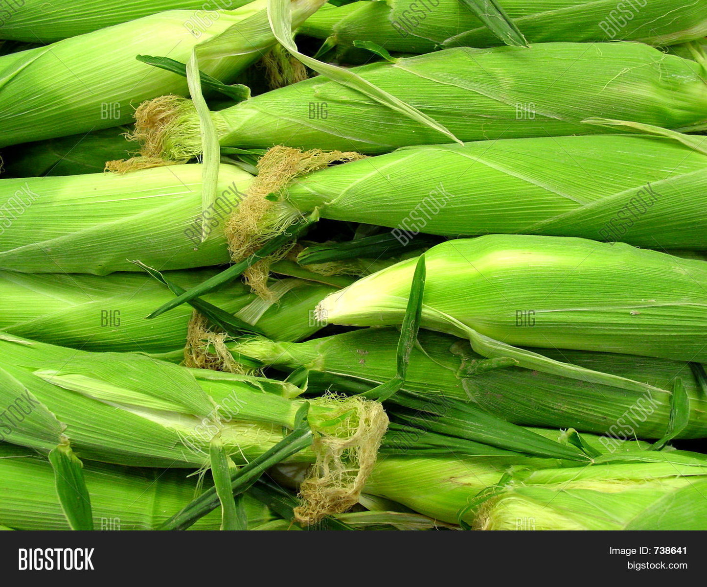 Fresh-Corn-African x 1