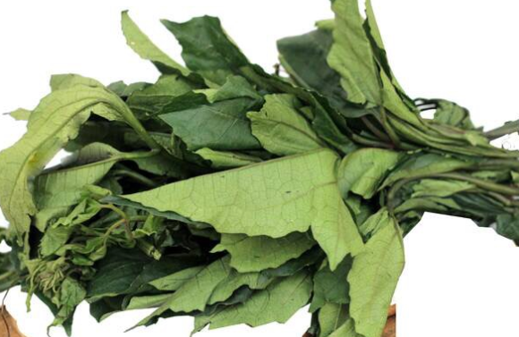Fresh-Ugu-Leaves