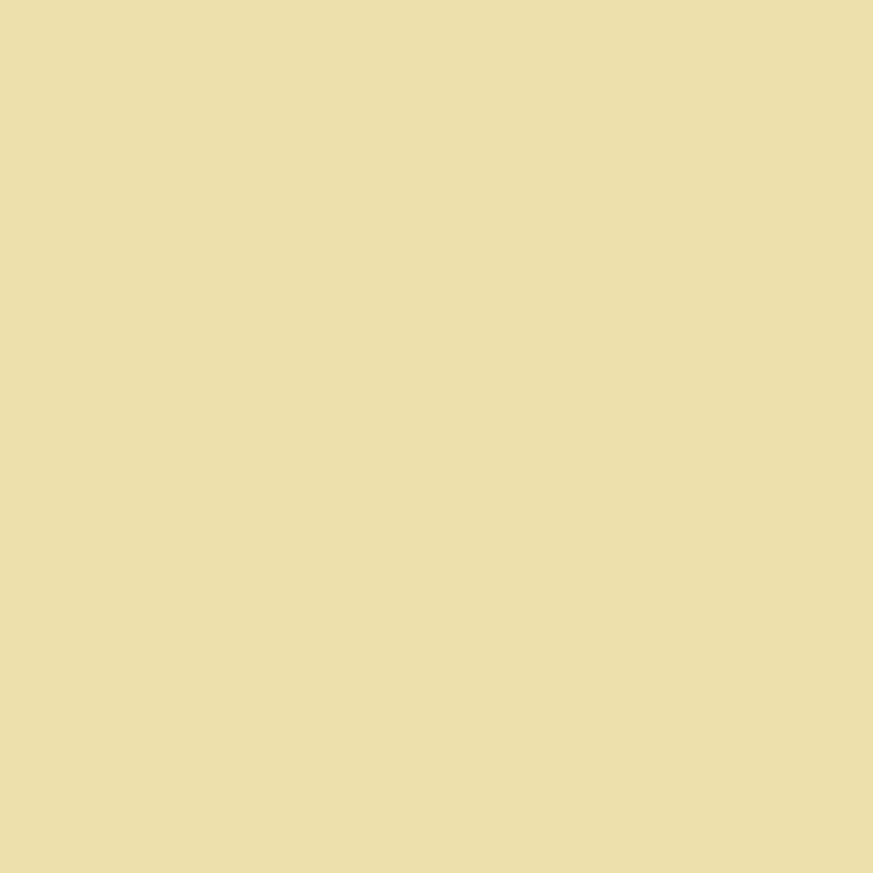 Costack Adobo Seasoning with Pepper 453.6g