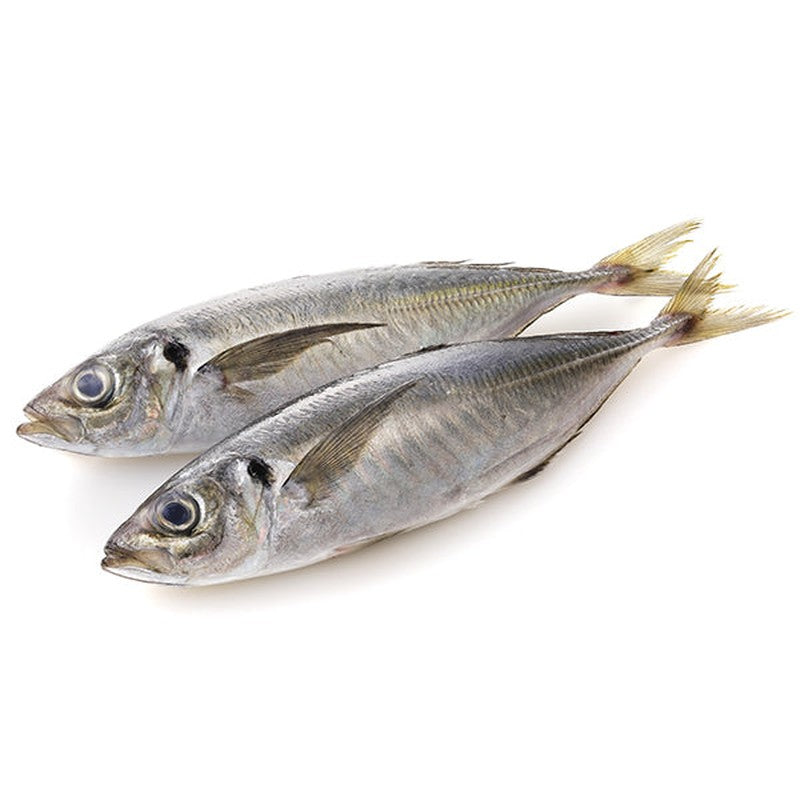 Horse Mackerel/kg