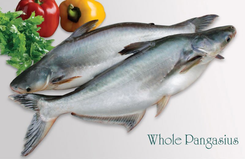 Ocean-Classic-White-Gutted-Pangasius-1kg