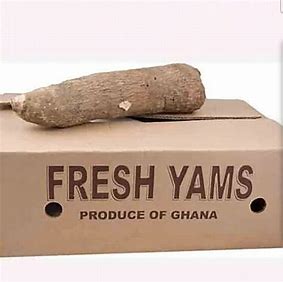 Yam-Box-20kg