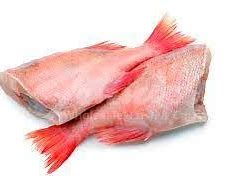 Red-Bream-Fish-Headless-1kg-Cut