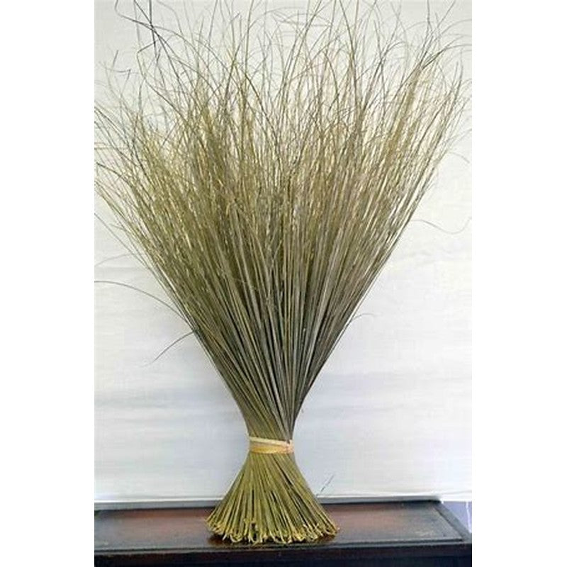 Broom-(igbale)