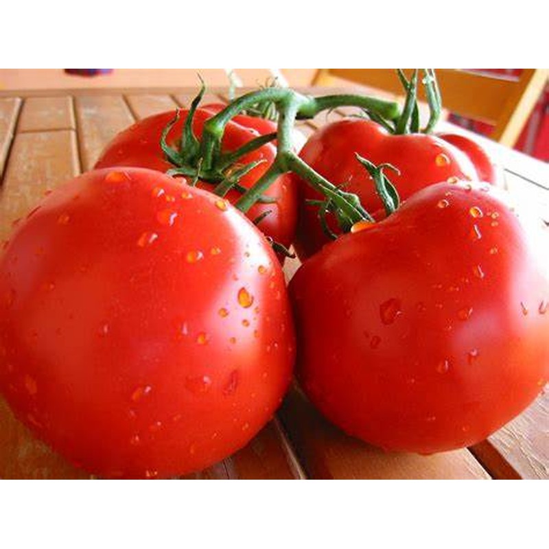 Fresh-tomatoes-1kg