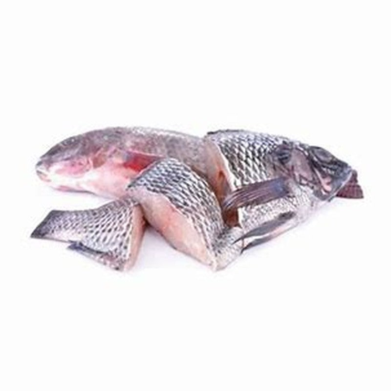 Frozen Tilapia - Steaks 1kg