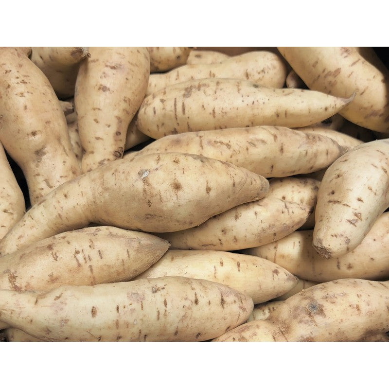 Sweet Potatoes-white