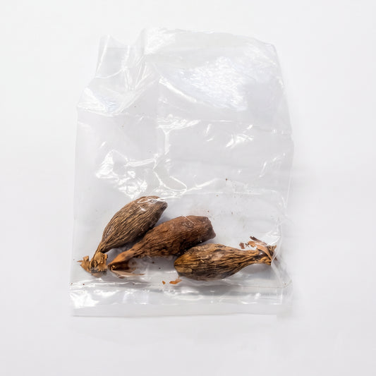 Alligator-Pepper