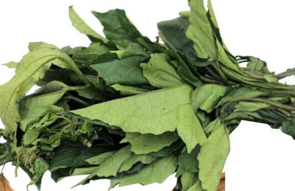 Fresh Ugu Leaves