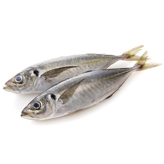 Horse Mackerel/kg