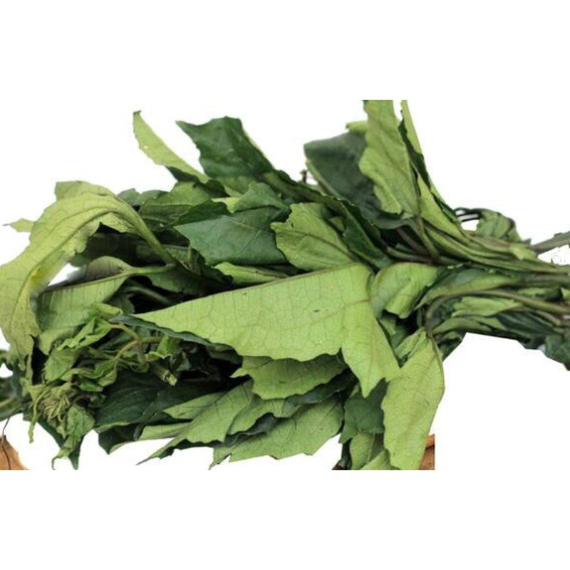 Fresh-Ugu-Leaves