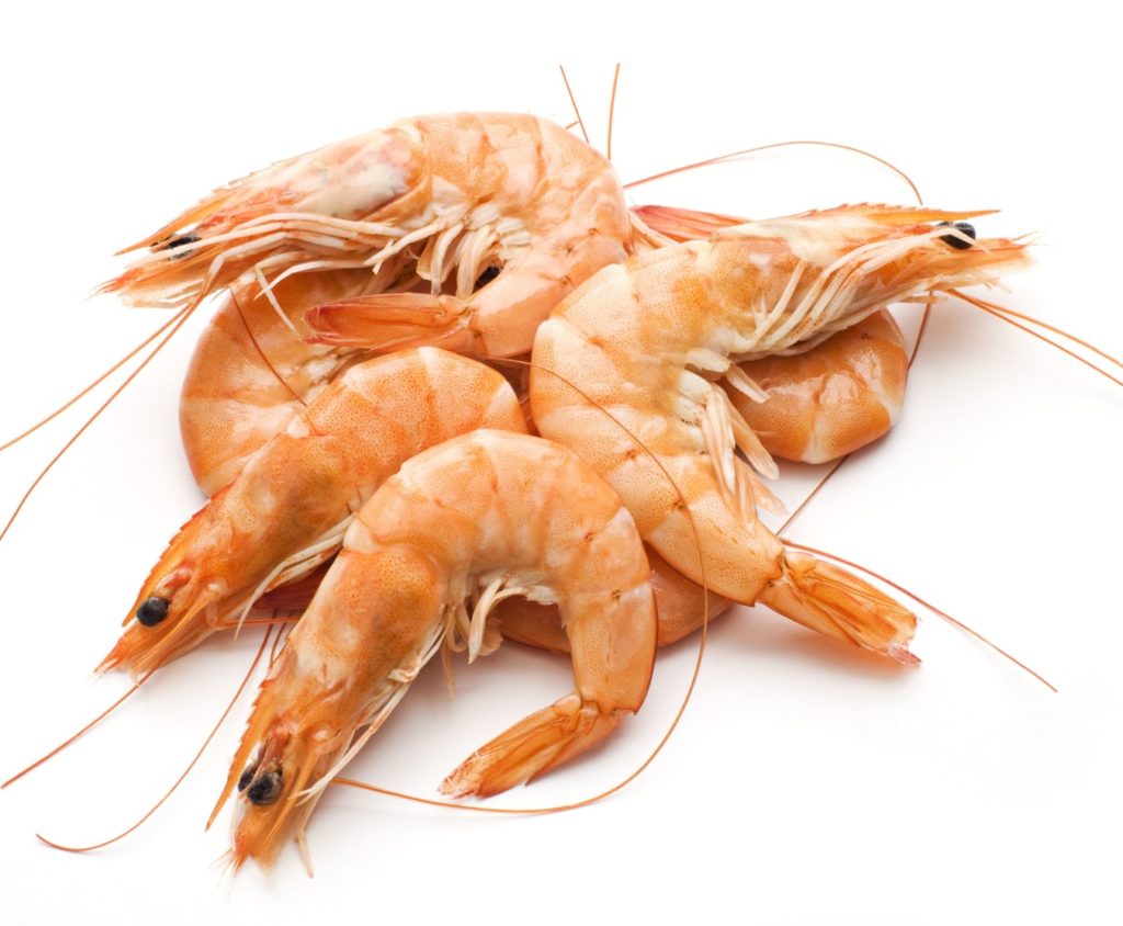 Clear-Seas-Prawns-21-25-raw-pd-800g