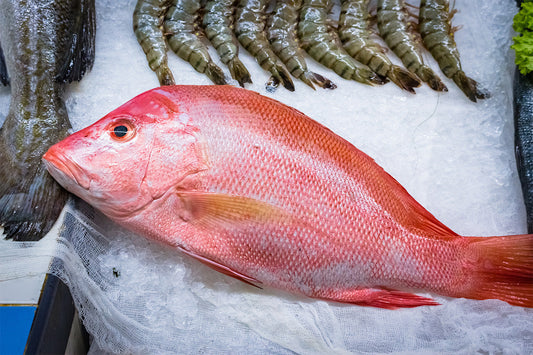 Red-snapper-iqf-500-800g-