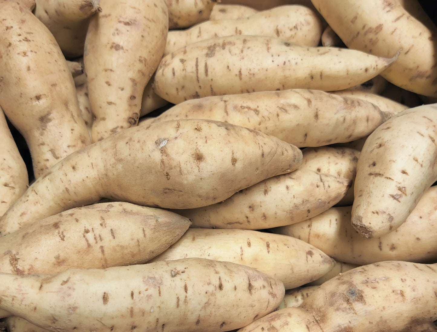 Sweet Potatoes-white