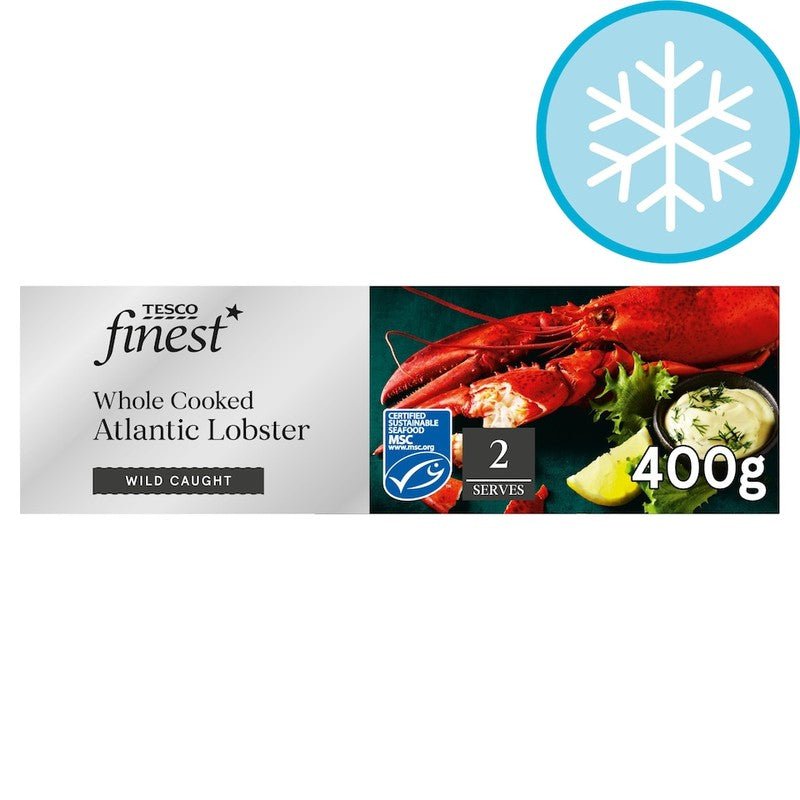 Lobster 500 550 netted