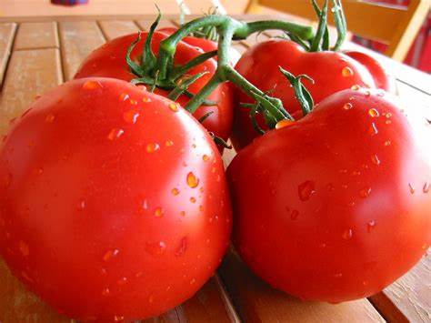 Fresh-tomatoes-1kg