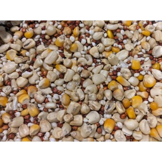 Whole Dried Corn Yellow/White 1kg