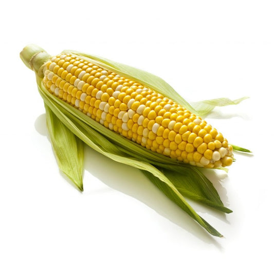 Africa Fresh Corn