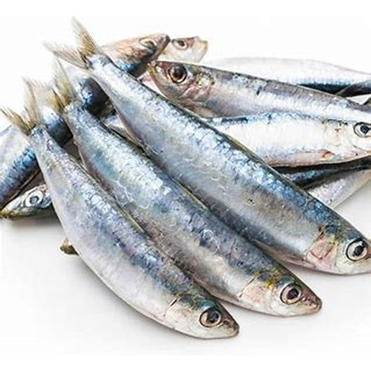 West-Country-Sardines-1kg