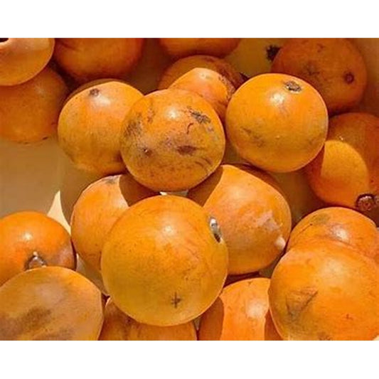 Agbalumo (African Star Apple)-1kg