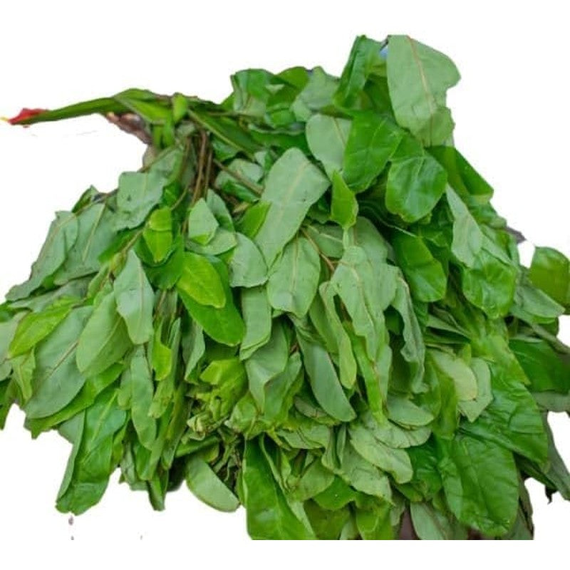 Fresh-Oha-Leaves