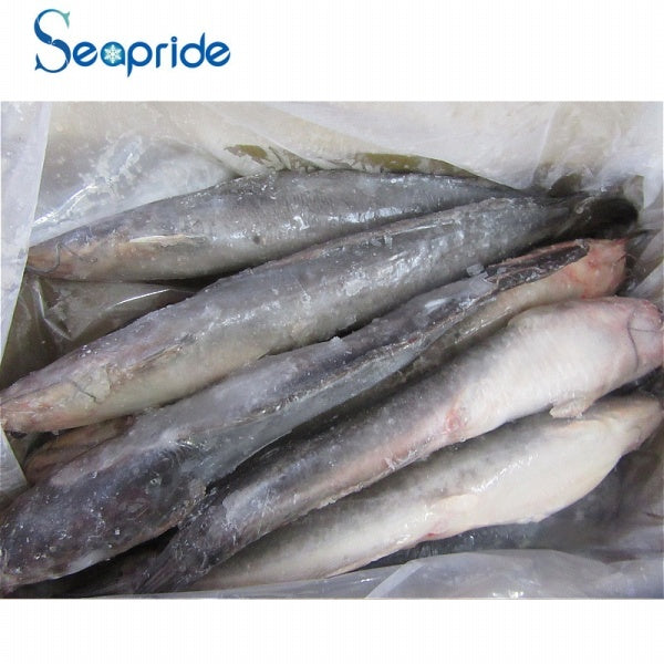 Frozen-Catfish-Whole-(Pride of  Africa)-800-1000g