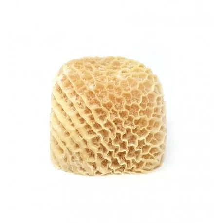 Honey-Comb-Trip(saki)-1kg