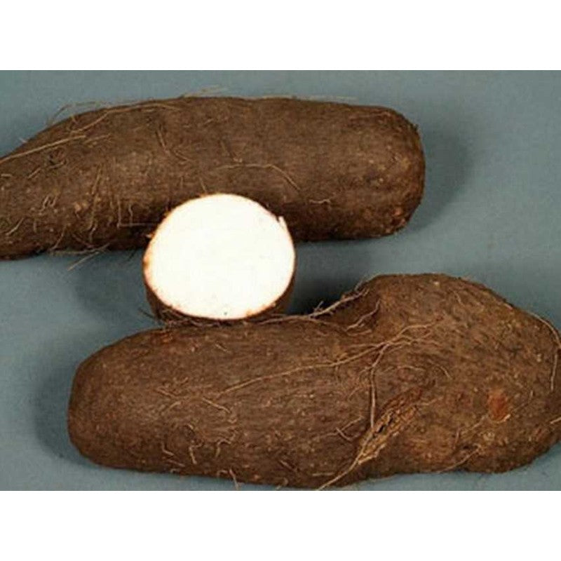 Water Yam 1kg