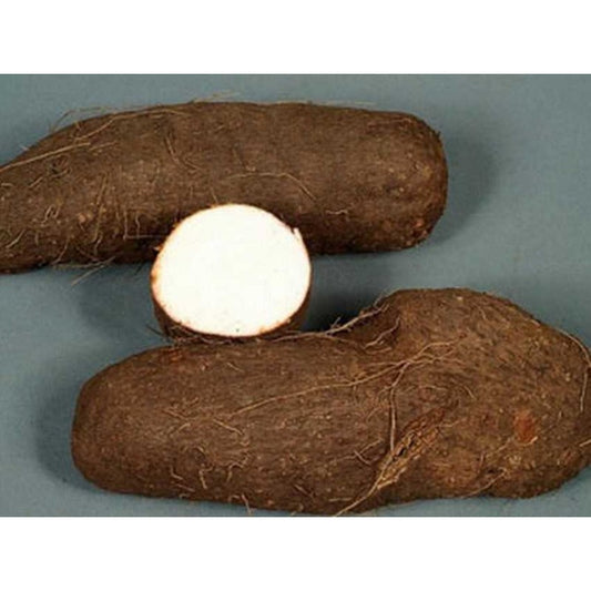 Water Yam 1kg