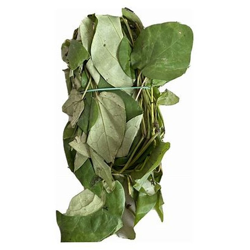Fresh-Uziza-Leaves