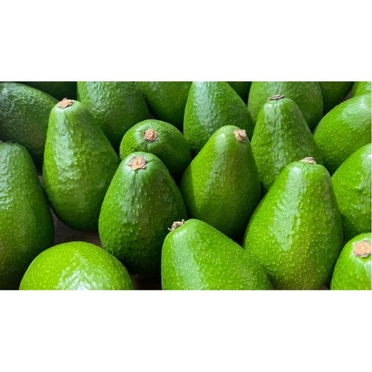 Avocado