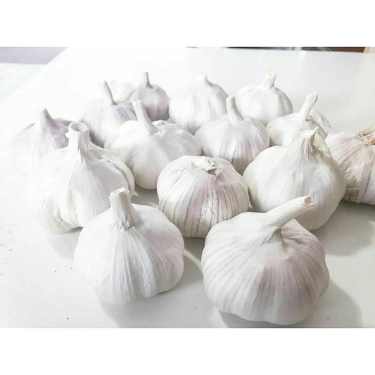Garlic-Fresh-bag