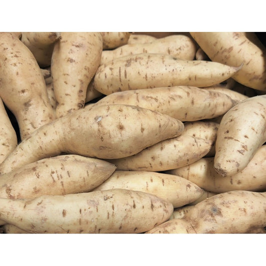 Sweet Potatoes-white