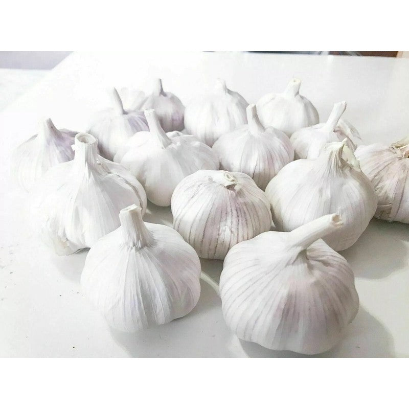 Garlic-Fresh-1 Bulb